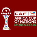 Кубок африканских наций. Финал